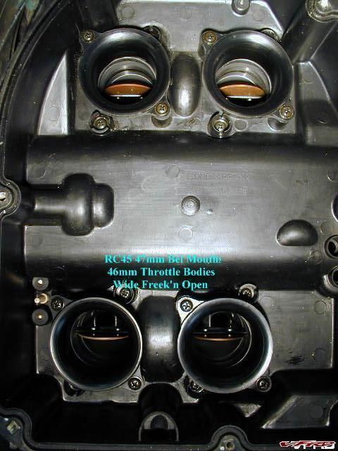 gallery_3131_51_44329.jpg