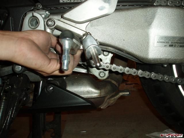 gallery_4208_389_8542.jpg