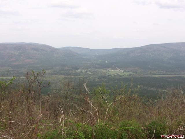 Posted Image