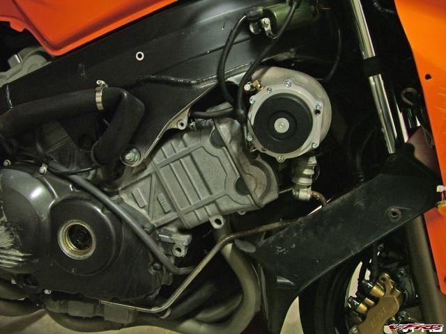 gallery_11118_2864_48342.jpg