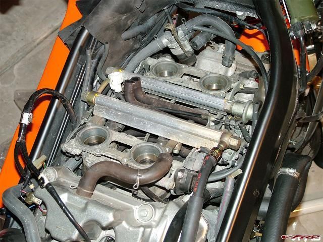 gallery_11118_2864_191828.jpg