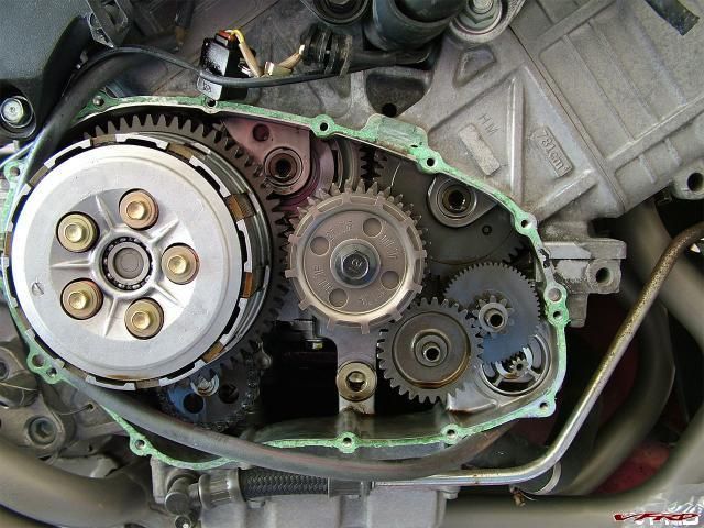 gallery_11118_2864_258244.jpg