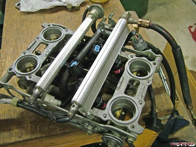 gallery_11118_2864_95945.jpg