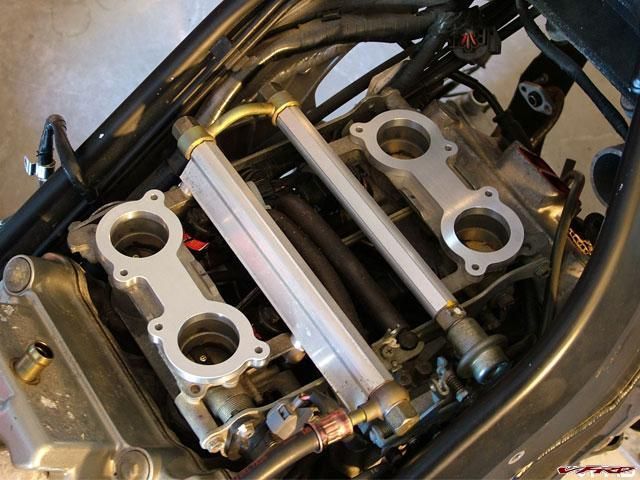 gallery_11118_2864_77017.jpg