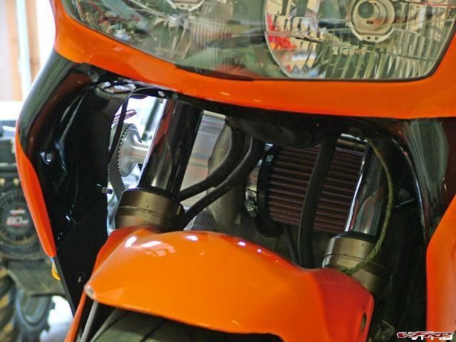 gallery_11118_2864_21690.jpg