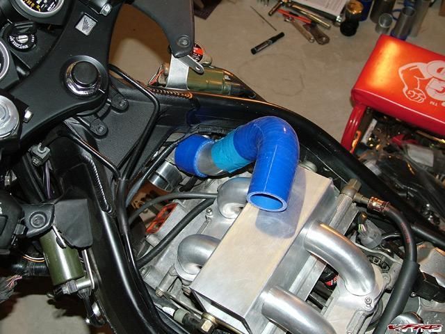 gallery_11118_2864_28111.jpg