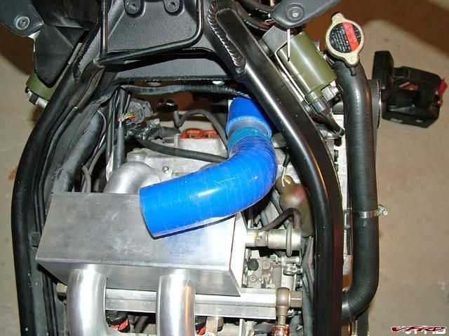 gallery_11118_2864_99144.jpg