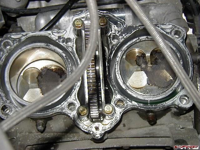 gallery_362_402_123350.jpg