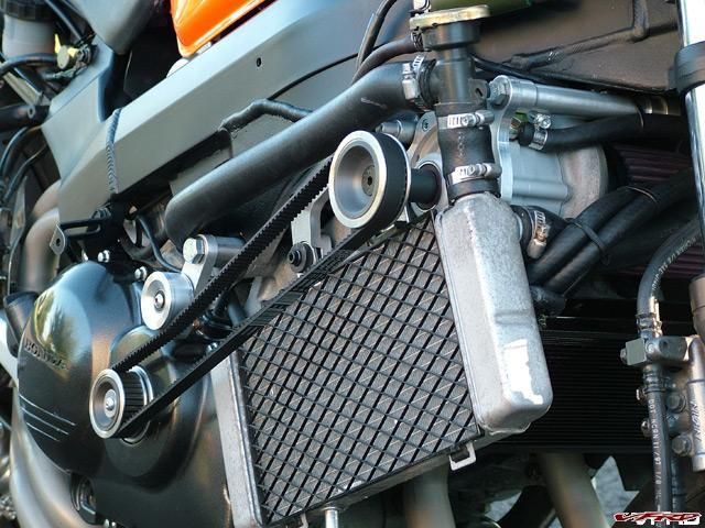 gallery_11118_2864_44900.jpg
