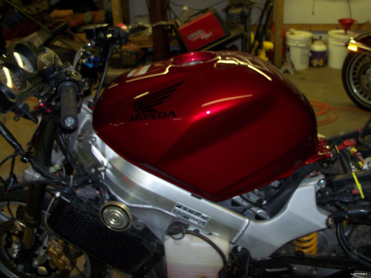 gallery_554_5200_493265.jpg