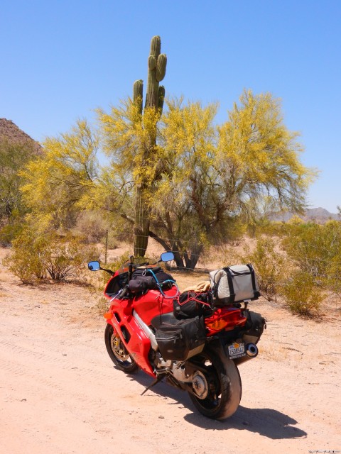 med_gallery_2144_2341_2918091.jpg