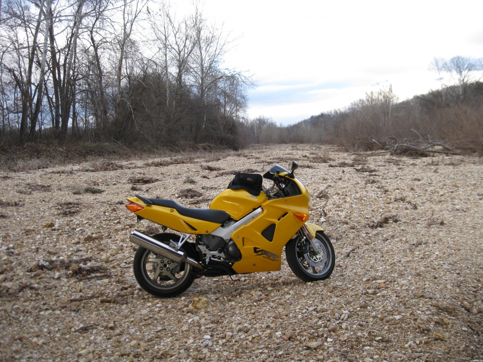 gallery_19432_5583_732840.jpg