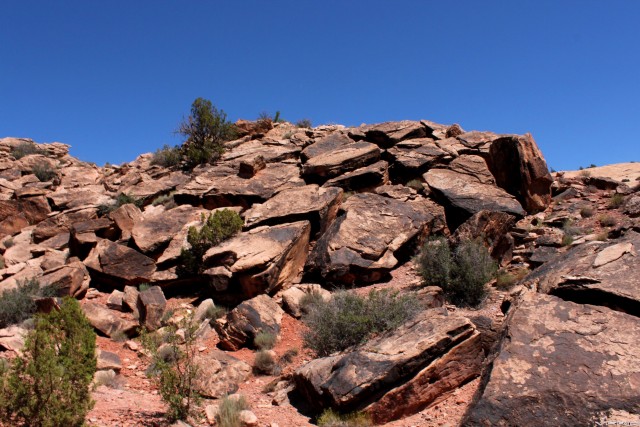 Climbing