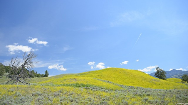 110 Lamar Valley, Yellowstone NP