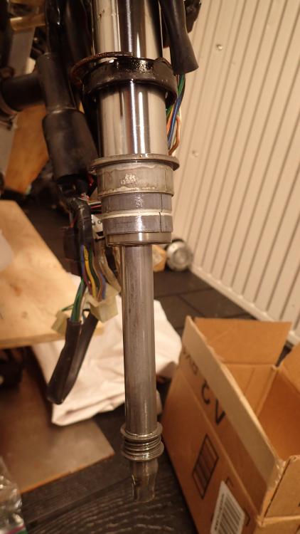 PA240325.JPG
