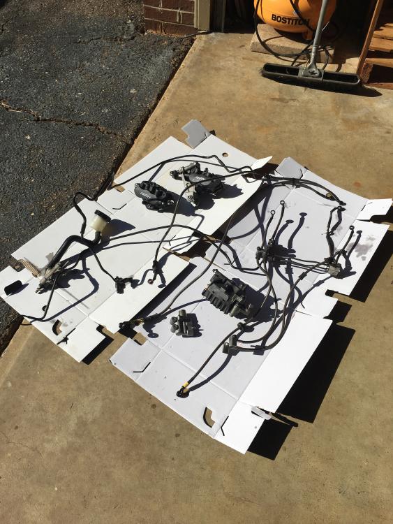 IMG_4642.thumb.jpg.bfb80fe437615b868c52df713ce1d121.jpg
