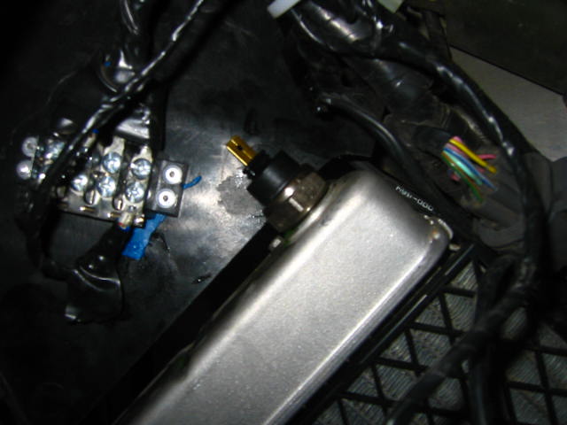 Posted Image